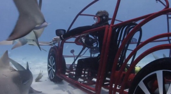 رحلة بحرية لمشاهدة أسماك القرش بالسيارة Beetle19