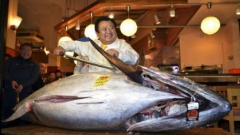 سمكة تونة تباع بـ 1,38 مليون يورو في اليابان Japan-10