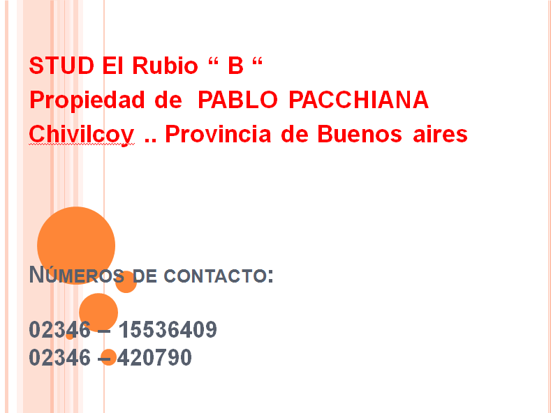 Stud  EL RUBIO " B ".. de PABLO PACCHIANA Nacion10