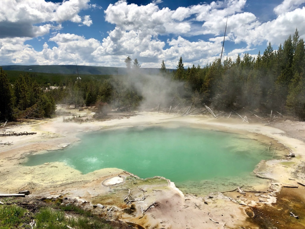 Rando Wyoming, Montana et Colorado - Page 2 50680e10
