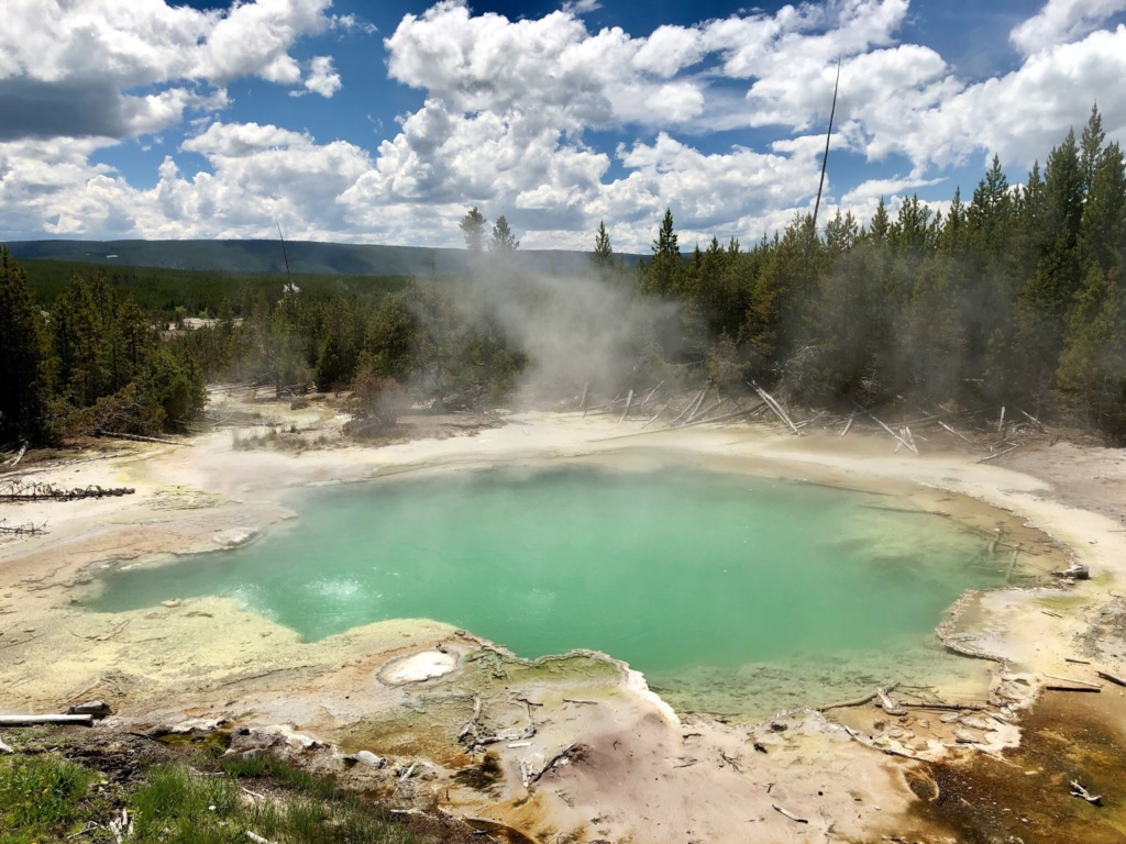 Rando Wyoming, Montana et Colorado  - Page 2 50680e10