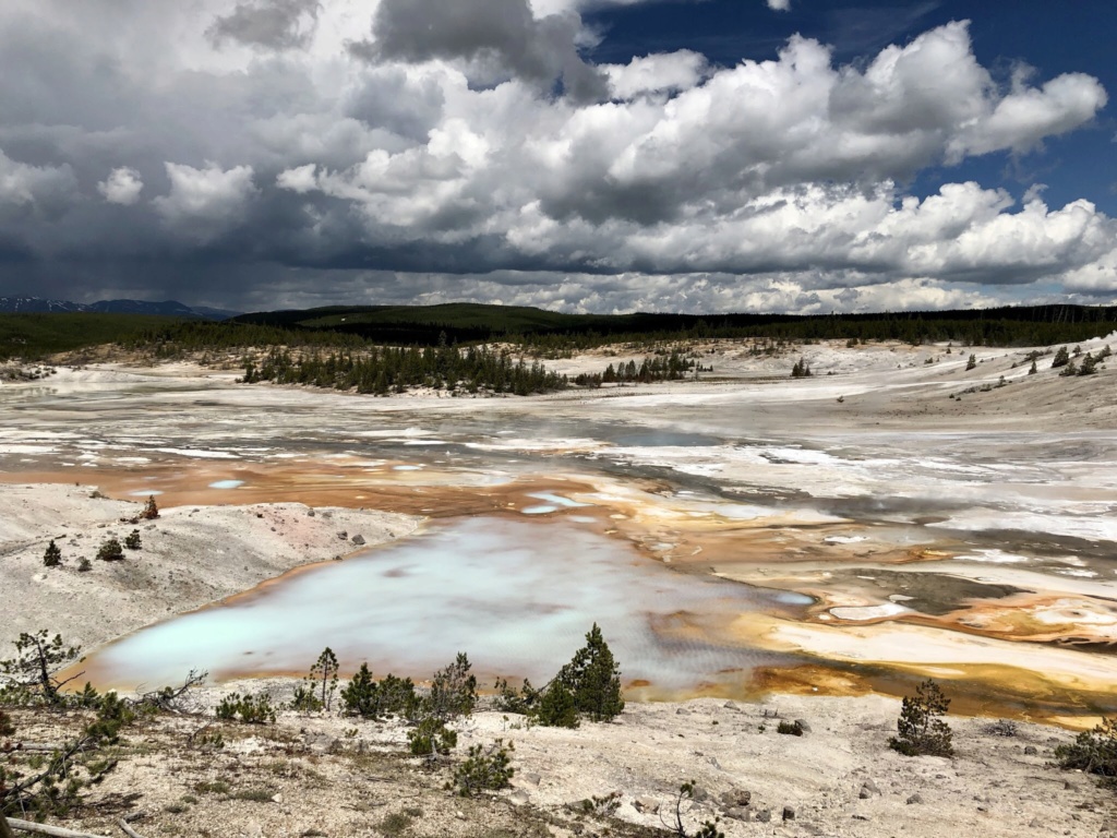 Rando Wyoming, Montana et Colorado - Page 2 E7b5d210