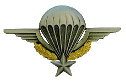 La Légion parachutiste en qq mots . Brevet10