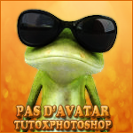 TutoxPhotoshop Tutoriels Photoshop Gratuit! No_ava10