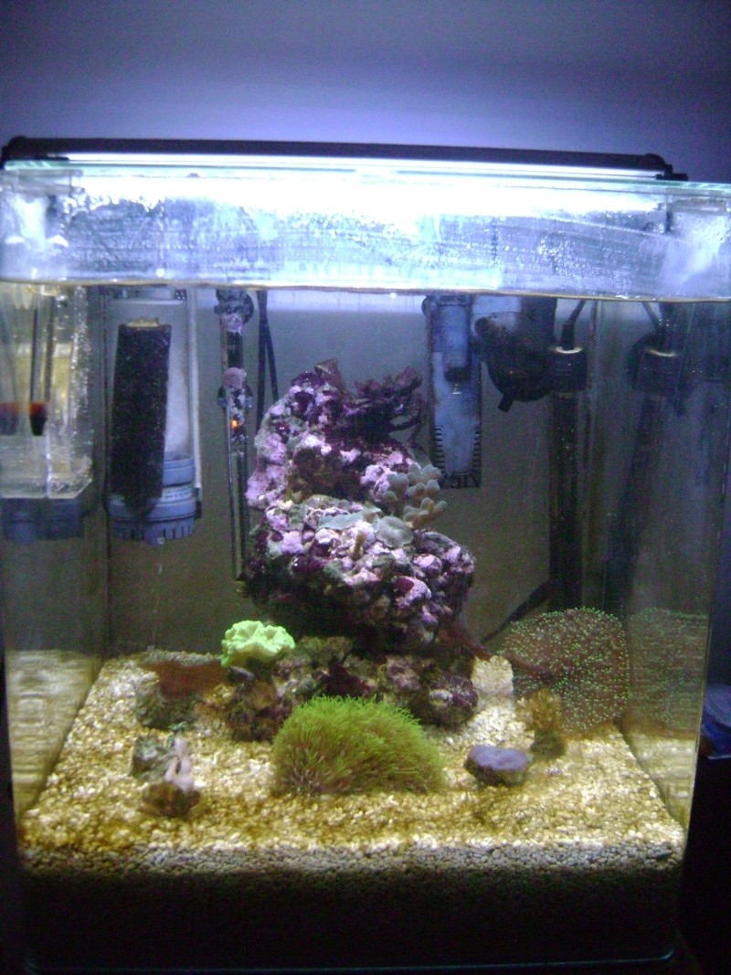 60 litres en cour de creation Dsc02314