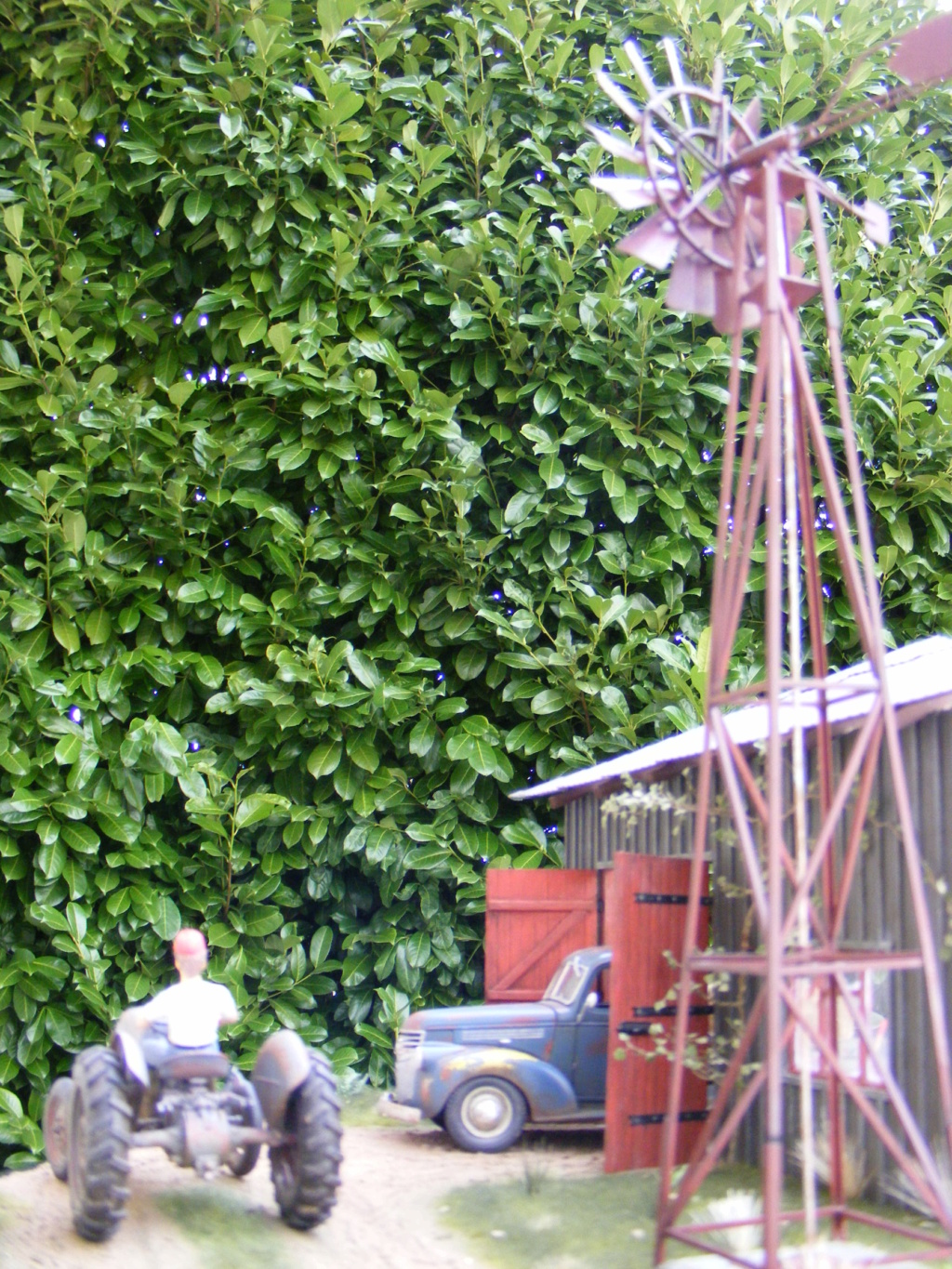Ferguson à la ferme Dscf7014