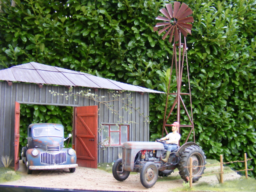 Ferguson à la ferme Dscf7015