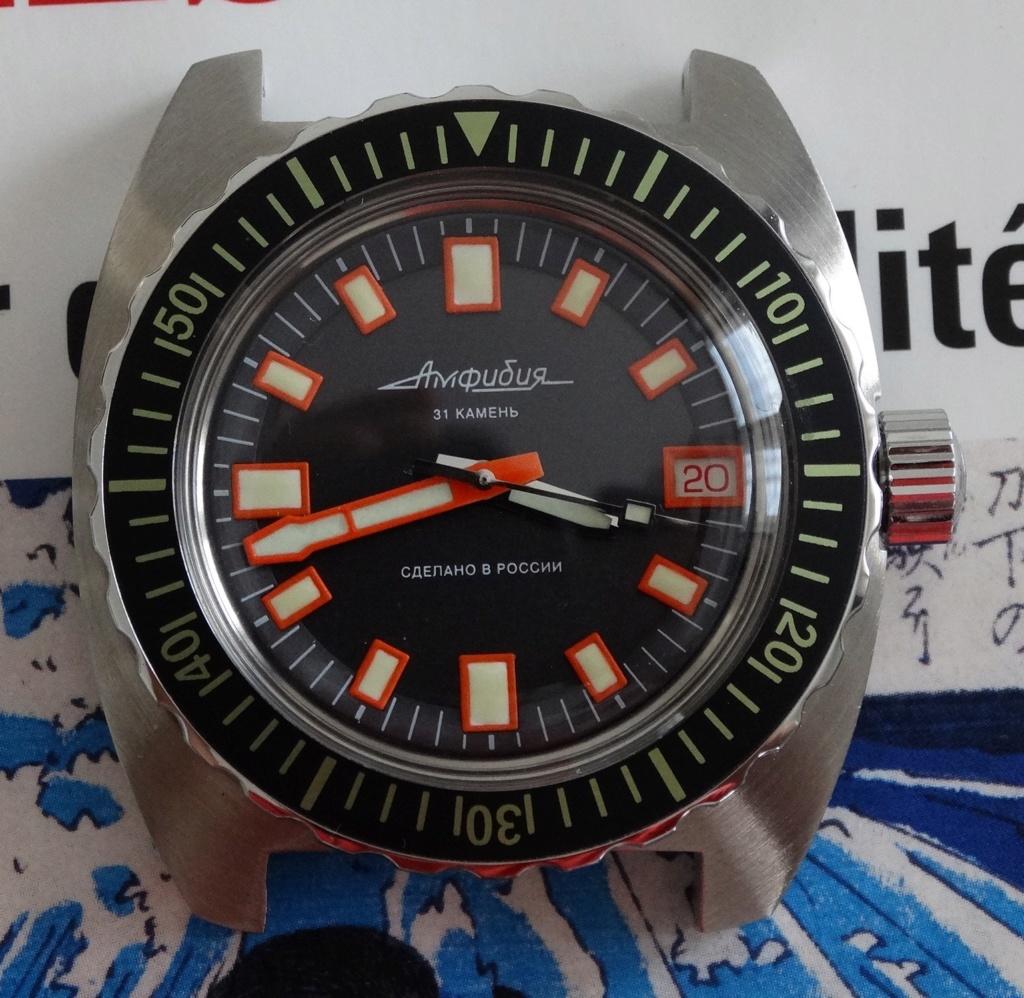 Projet WUS - une Slava amphibian à la sauce Vostok Dsc02316