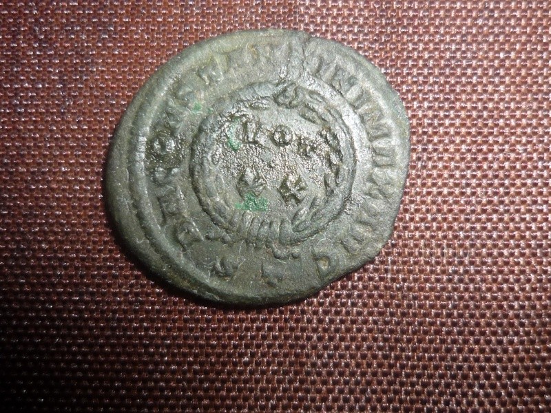 petite romaine P1020711