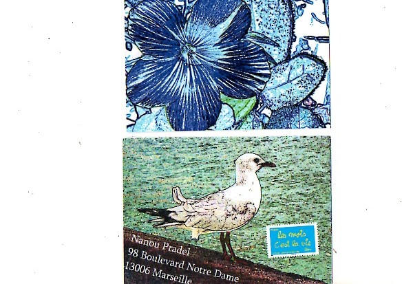 Galerie : Les petits oiseaux Img29610
