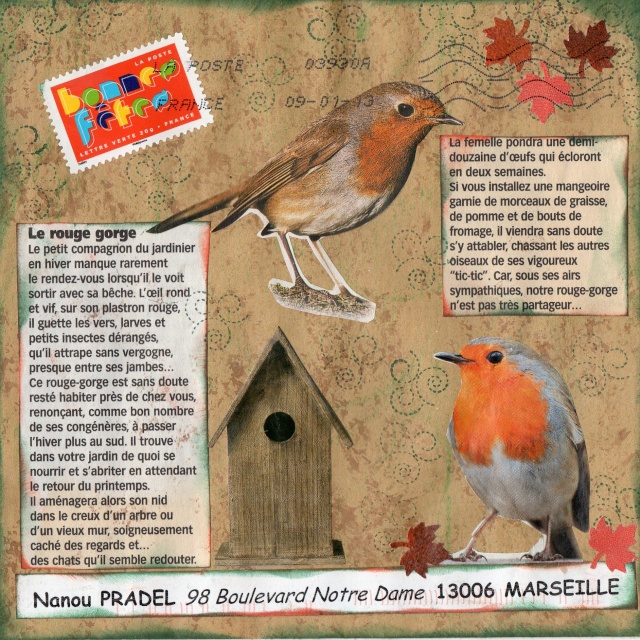 Galerie : Les petits oiseaux Img33210