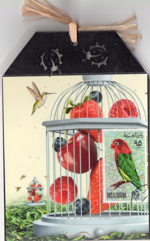Galerie : Les petits oiseaux - Page 2 Img37610