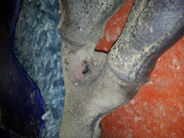 Fitted new downpipes. 20121213