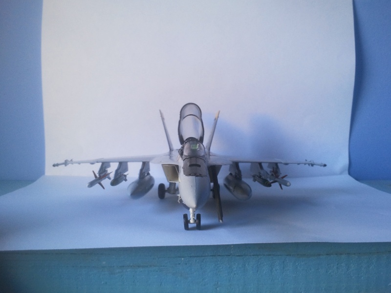 F/A-18F Super Hornet 1/72 2013-024