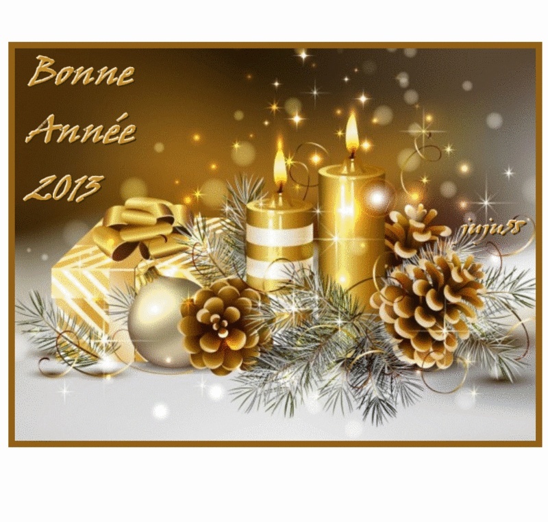 Bonne Année 2013 07d5ed10