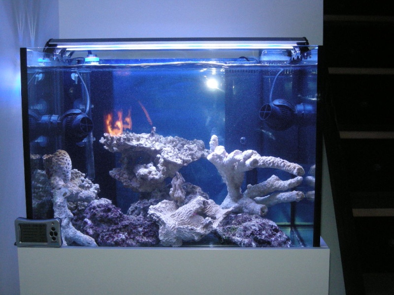 Aquarium 100 L de "samix" Dscn3618