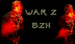 Bannière pour le forum War_z_11