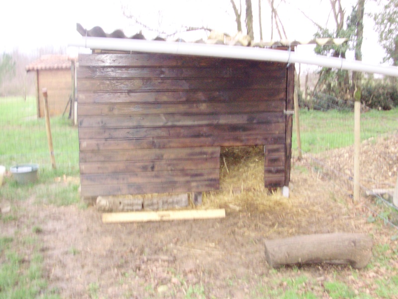 ma cabane P6140012