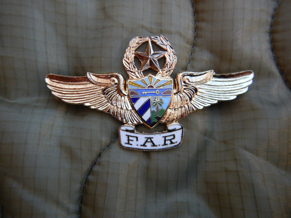Cuban Air Force wings Dscn9736