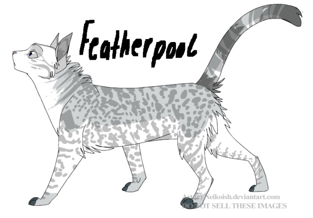Featherpool Feathe10