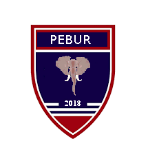 Championnat de Polo Lédonien 2018-2019 - Page 4 Peburp10