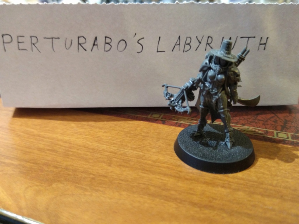 Fini [Skarn Inquisition] Inquisitrice Greyfax (65) Img_2101