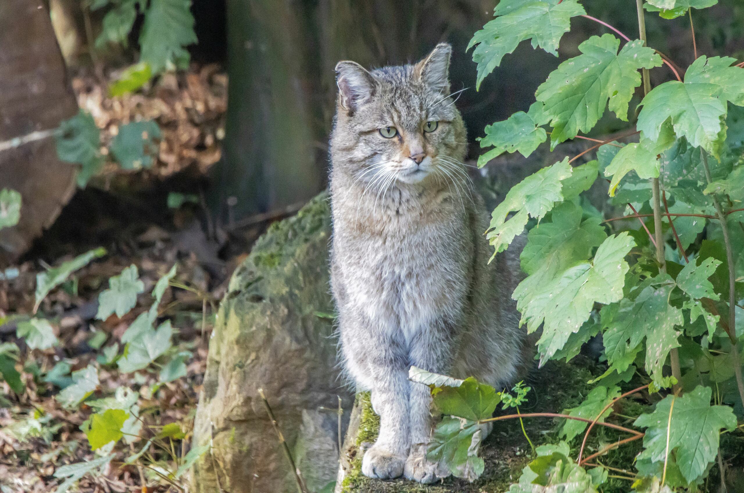 Zoo Duisburg 1319