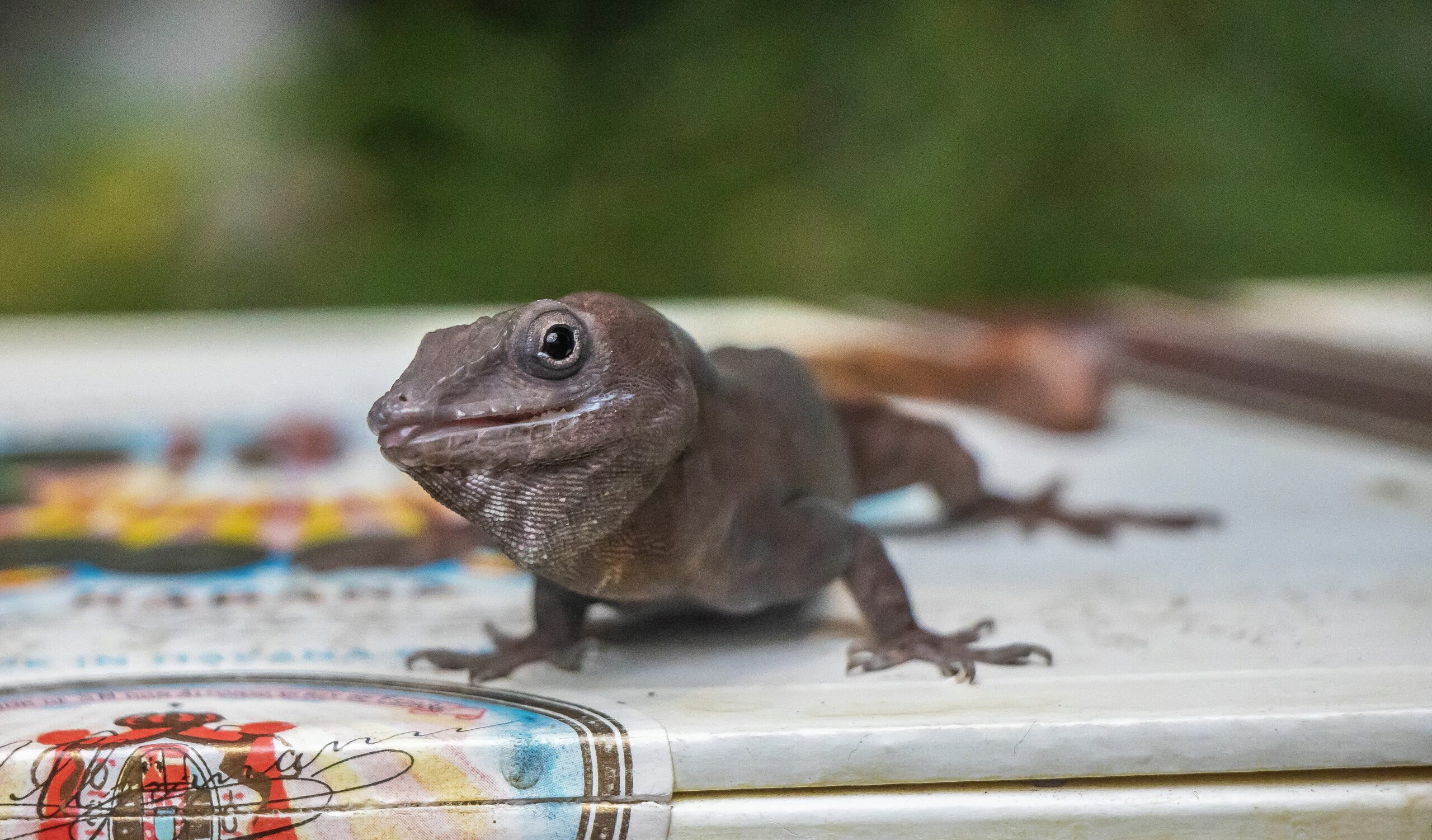 Zoo Duisburg 145