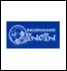Liga Sacyr ASOBAL. Jornada 9. Logo-s14