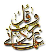   عدد السور القرآنية الكريمة المفتتحة بحروف مقطعة 515