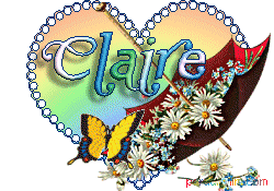 Petites précisions sur le fonctionnement du forum Claire13