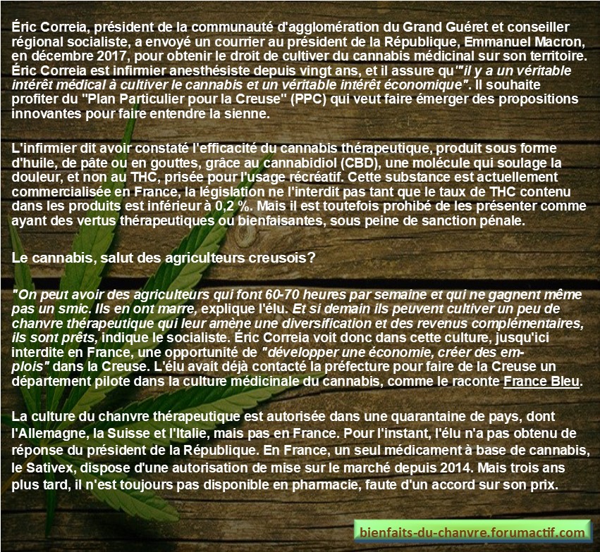 La Creuse veut cultiver du cannabis médicinal Presse10