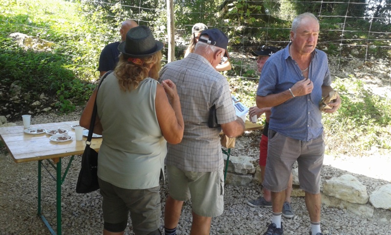 Balade et Expo dans le Haut Doubs a Charquemont de 96 Km Le 25 Aout 20190846