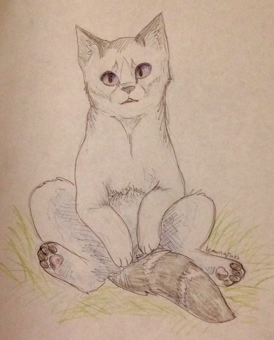 Anyone want their kitties hand-drawn? Tinyst10
