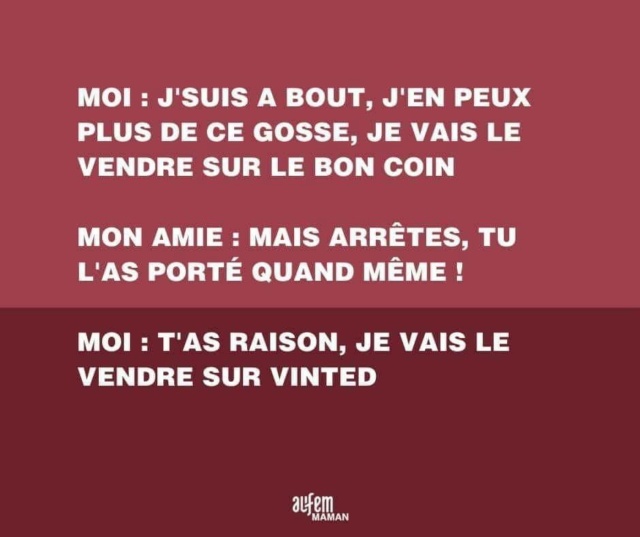 Mort de rire — parce que j'ai le sens de l'humour ! - Page 22 Vinted10