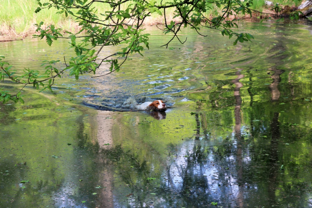 Concours photo janvier 2024 :  les pieds dans l'eau  2_img_33