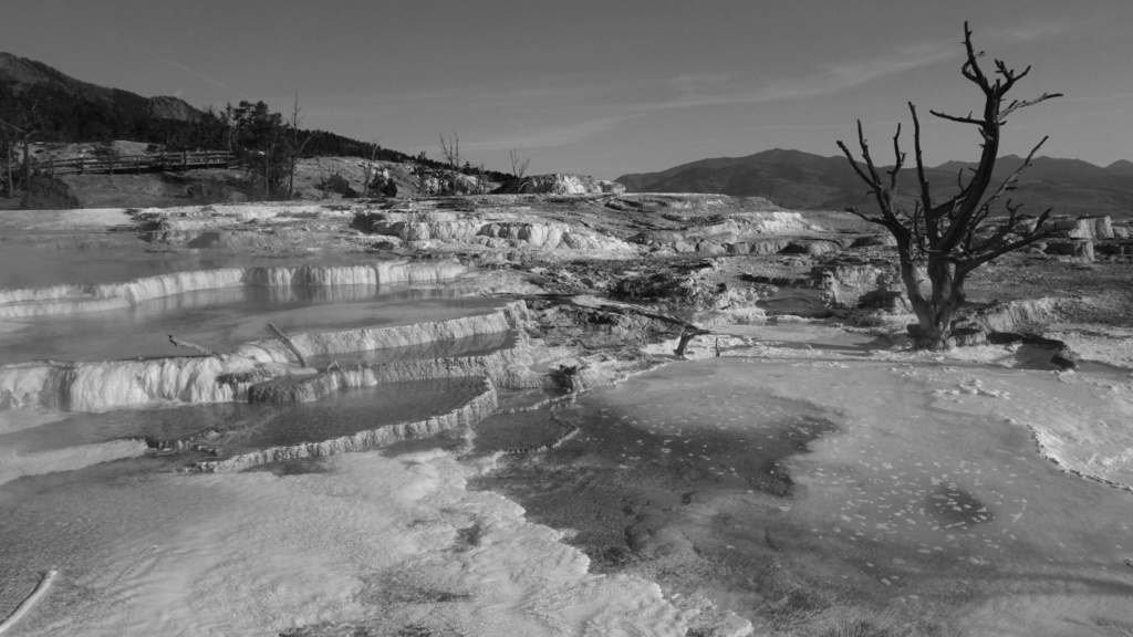 Concours photo du mois de juin 2023: En noir et blanc Dsc00913