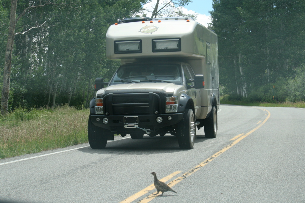 Location Camper truck. Img_5122