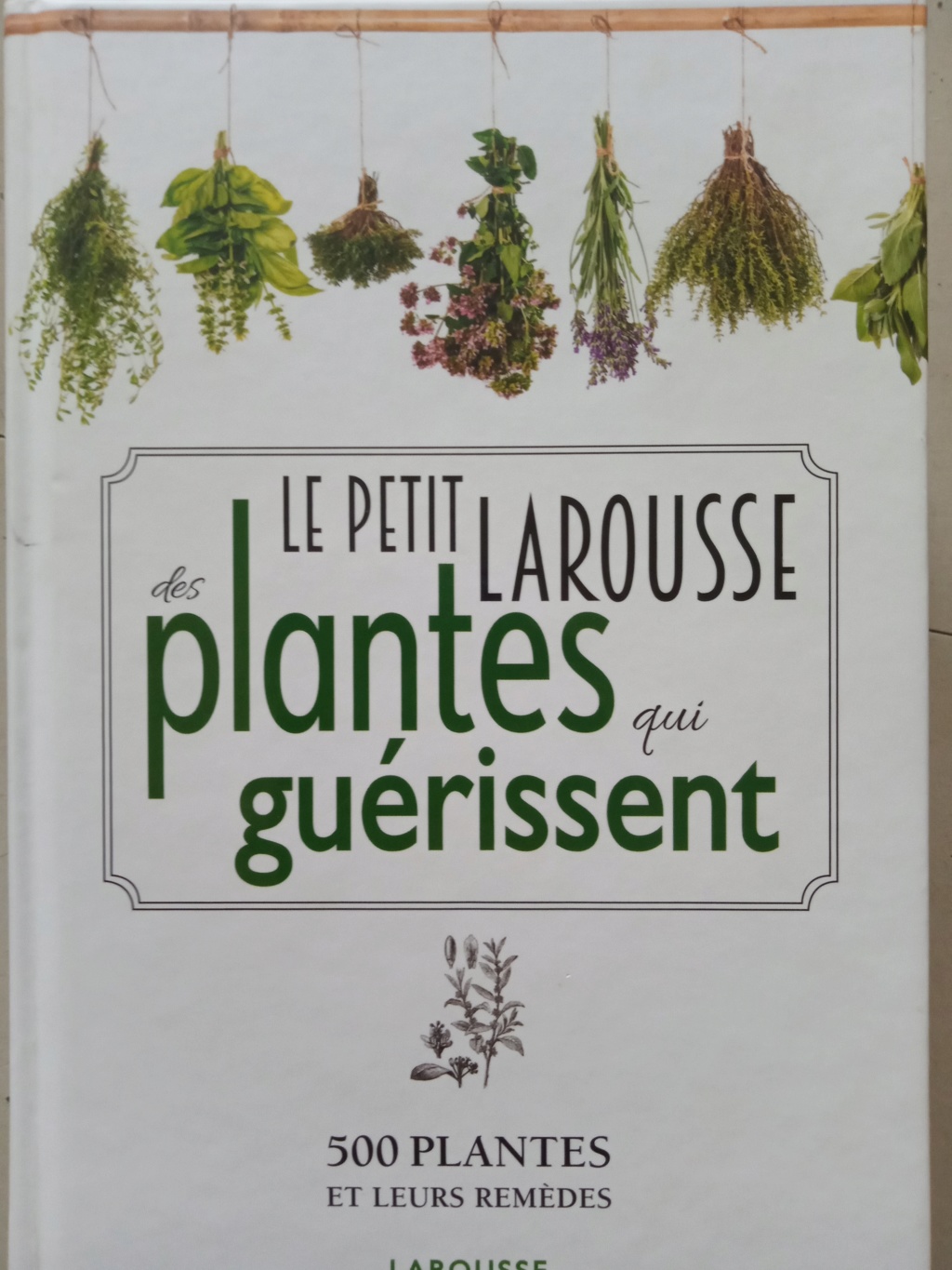 Présentation de Bambous4 15885910