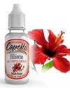 Aromas: Capella - Página 3 Hibisc10