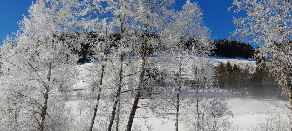 quelques photos avant de faire un peu de ski à menzenschwand 20220214