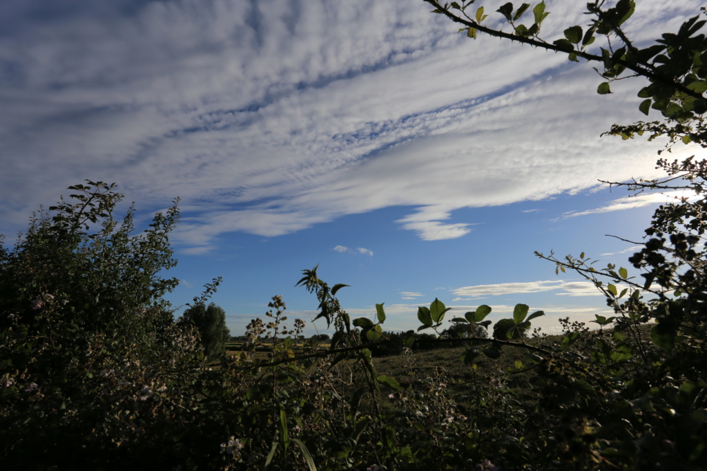 nuages nuages Img_5215