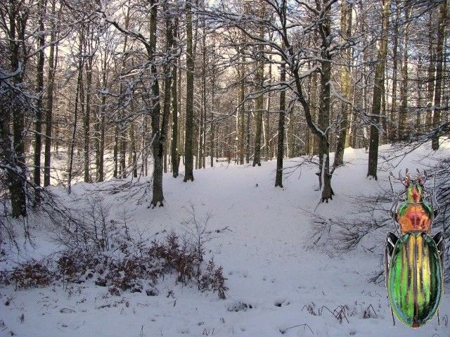 Ma plus belle photo d'Espagne, mon plus beau souvenir. Sierra11