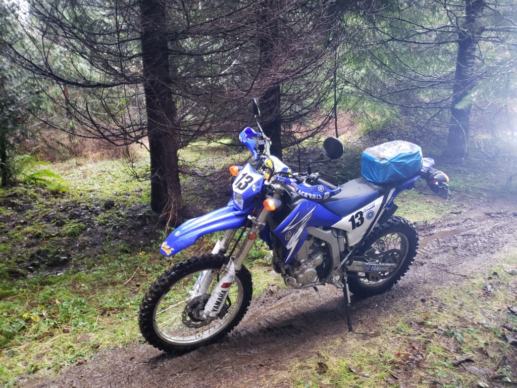 New to me WR250R  20210111
