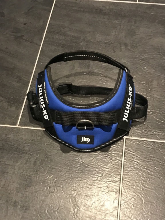 Harness for sale Df1d0510