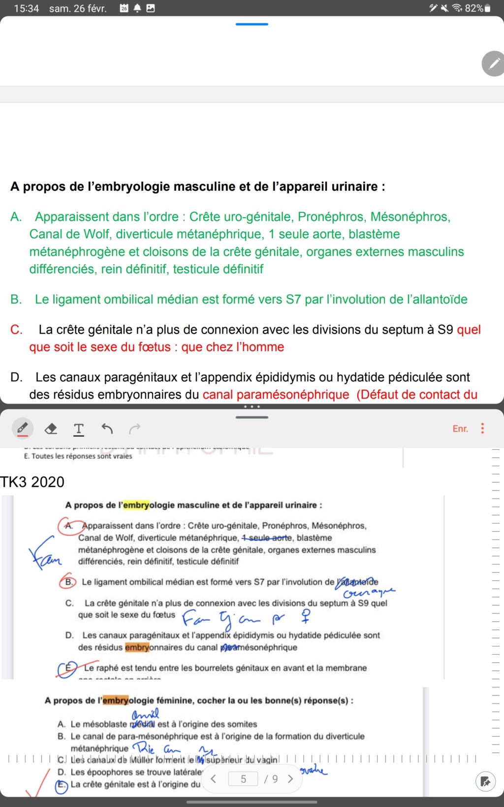 TK3 Urogenitale ordre d'apparition  Screen30