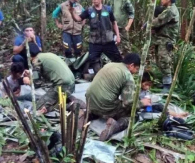 Así sobrevivieron los 4 niños perdidos por un mes en la selva Screen15