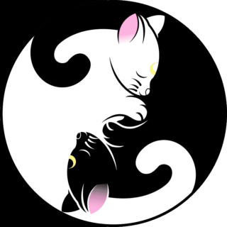 ☯ YIN - YANG ☯ Png-cl12