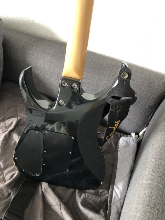 Help me identify Mystery guitar from friend Img-7412