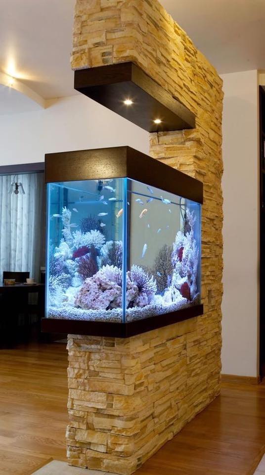 Aquariums du net a vous faire bondir de votre chaise ( Magnifique )  65466010